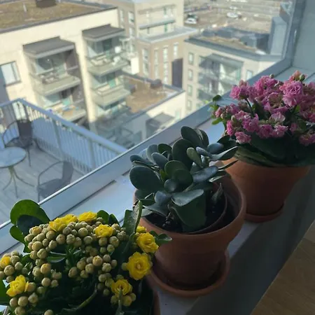 Casa Onni Appartement *